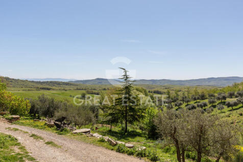 Panorama e Particolari