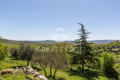 Panorama e Particolari