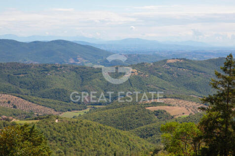 Panorama e Particolari