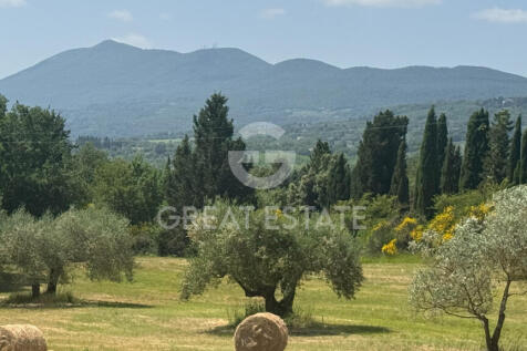 Panorama e Particolari