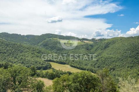 Panorama e Particolari