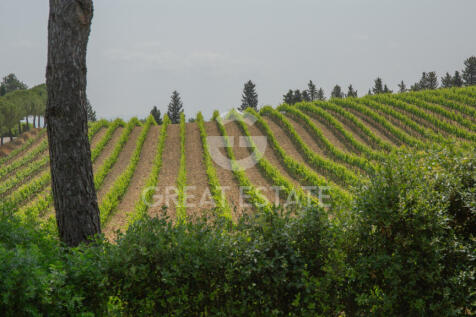Panorama e Particolari