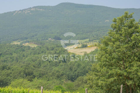 Panorama e Particolari