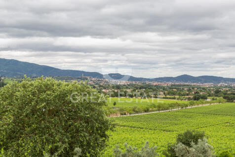 Panorama e Particolari