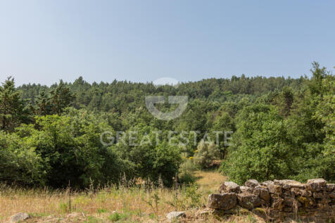 Panorama e Particolari