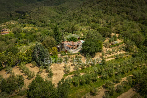 Panorama e Particolari