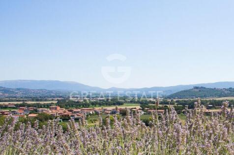 Panorama e Particolari