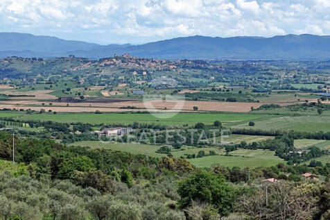 Panorama e Particolari