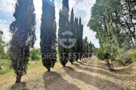 Panorama e Particolari