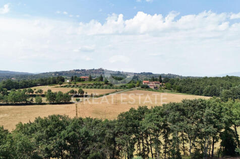 Panorama e Particolari