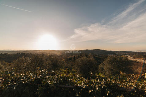 Panorama e Particolari
