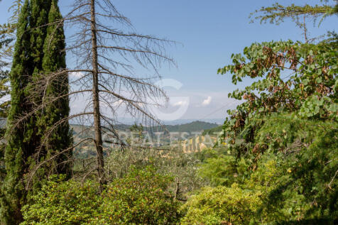 Panorama e Particolari