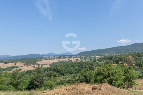Panorama e Particolari