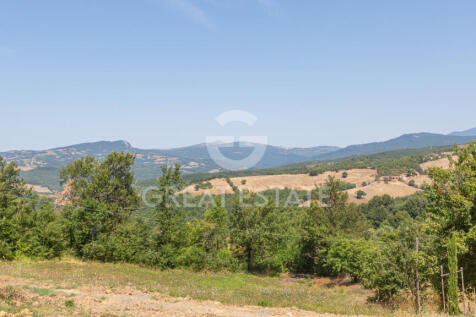 Panorama e Particolari