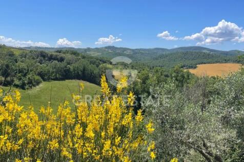 Panorama e Particolari