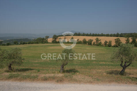 Panorama e Particolari