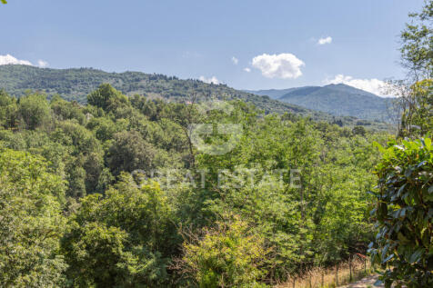 Panorama e Particolari
