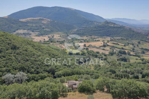 Esterno