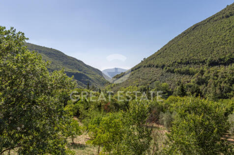 Panorama e Particolari