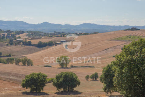 Panorama e Particolari