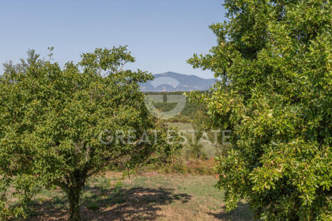 Panorama e Particolari