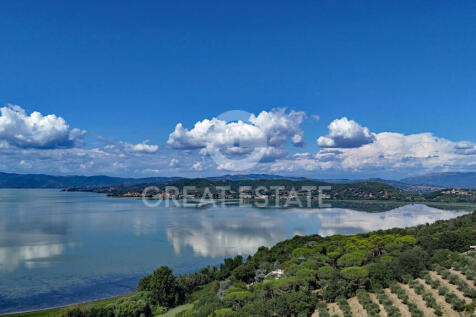 Panorama e Particolari