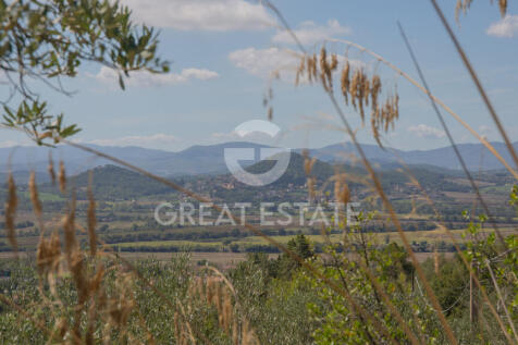 Panorama e Particolari