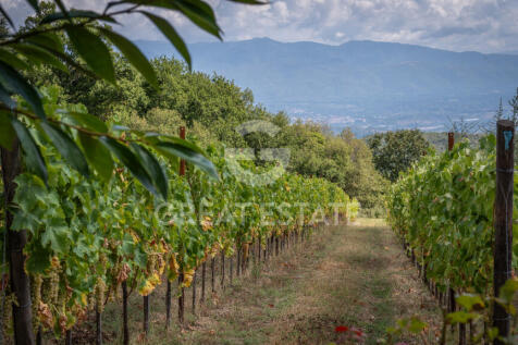 Panorama e Particolari