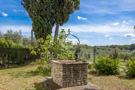 Panorama e Particolari