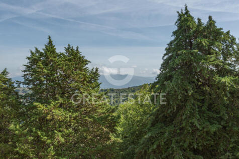 Panorama e Particolari