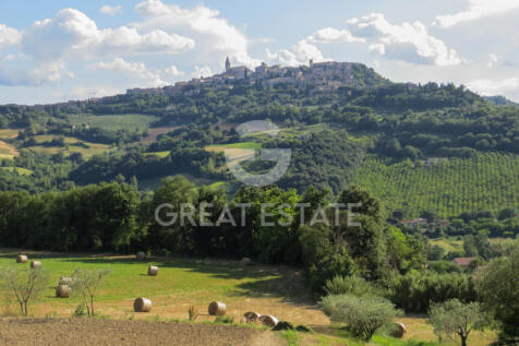 Panorama e Particolari