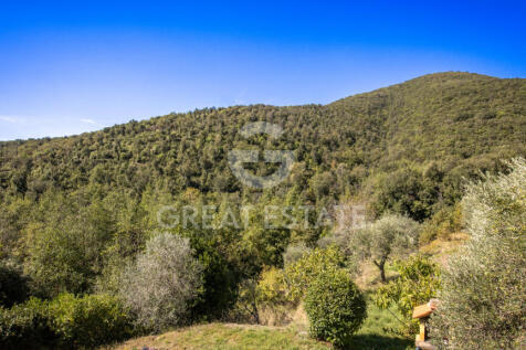 Panorama e Particolari