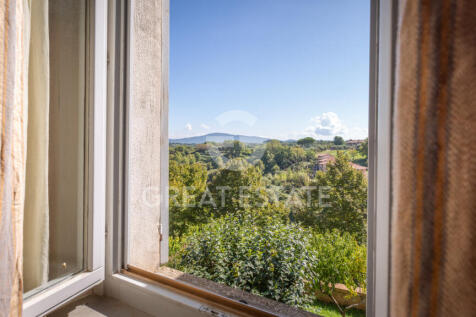 Panorama e Particolari