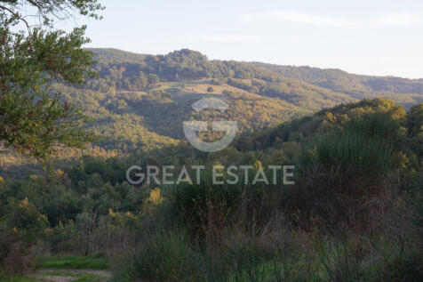 Panorama e Particolari