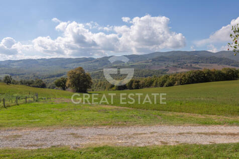 Panorama e Particolari