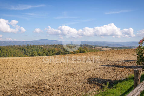 Panorama e Particolari