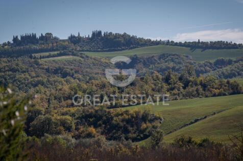 Panorama e Particolari