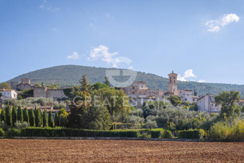 Panorama e Particolari