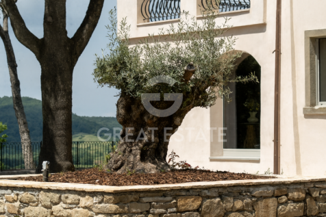 Panorama e Particolari