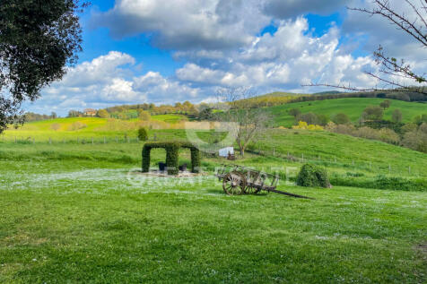 Panorama e Particolari