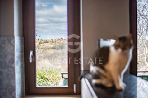 Panorama e Particolari