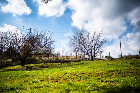 Panorama e Particolari
