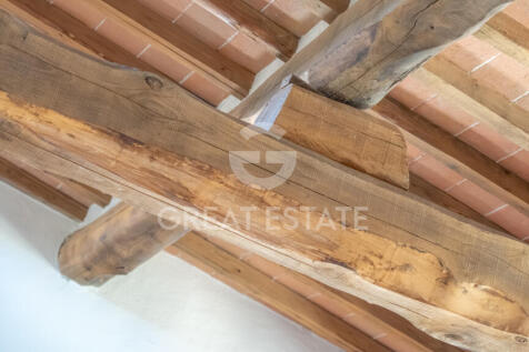 Panorama e Particolari