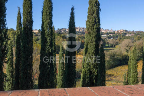 Panorama e Particolari