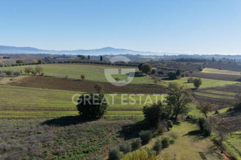 Panorama e Particolari