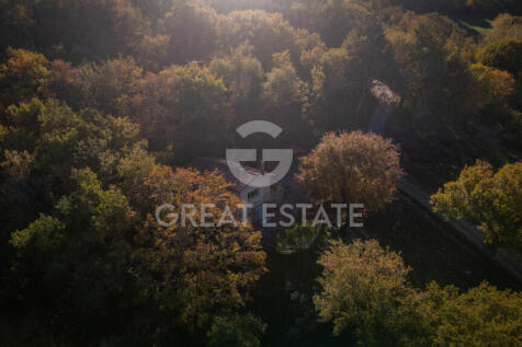 Panorama e Particolari