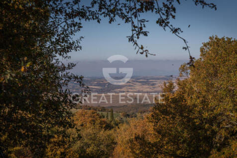 Panorama e Particolari