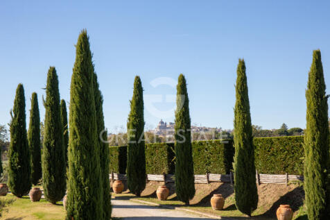 Panorama e Particolari