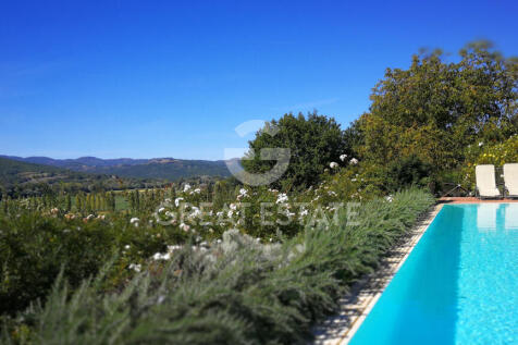 Panorama e Particolari