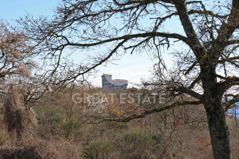 Panorama e Particolari